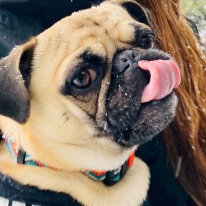 Meet your Posher, Myranda